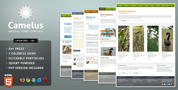SilverSlide - premium portfolio theme (3x2) - 11