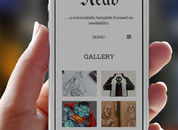 Thème Premium WordPress