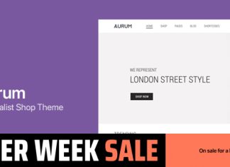 Aurum Theme de magasin WordPress WooCommerce