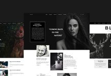 BLOGR – Modèle PSD pour les blogueurs spécialisés BLOGR – Modele PSD pour les blogueurs specialises