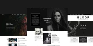 BLOGR – Modele PSD pour les blogueurs specialises