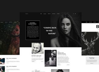 BLOGR – Modele PSD pour les blogueurs specialises