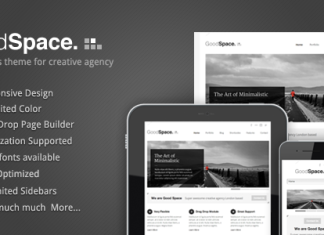 Bon espace Theme WordPress minimaliste et reactif