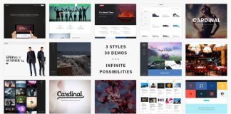 Cardinal Theme WordPress