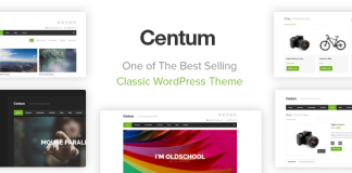 Centum Theme WordPress Reactif