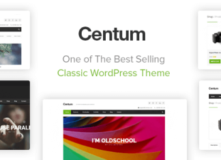 Centum Theme WordPress Reactif
