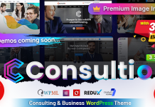 Consultio Conseil en entreprise
