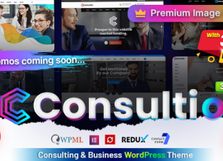 Consultio Conseil en entreprise