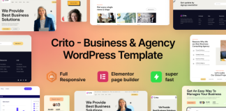 Crito Theme WordPress pour entreprise et agence