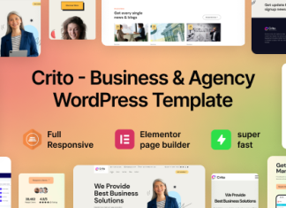 Crito Theme WordPress pour entreprise et agence