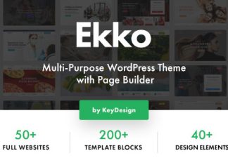 Ekko Theme WordPress Polyvalent avec Constructeur de Pages