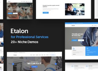 Etalon Theme Multi Concept pour les Services Professionnels