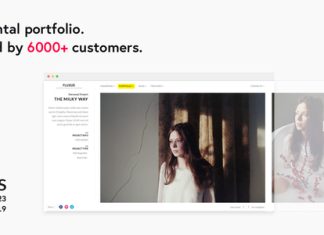 Fluxus Theme Portfolio Horizontal