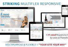 Frappant Theme WP Responsive MultiFlex Ecommerce