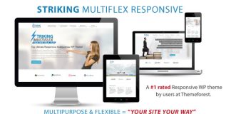 Frappant Theme WP Responsive MultiFlex Ecommerce