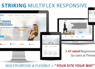 Frappant Theme WP Responsive MultiFlex Ecommerce