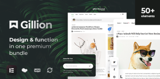 Gillion Theme WordPress AMP pour blogmagazine multi concept et boutique