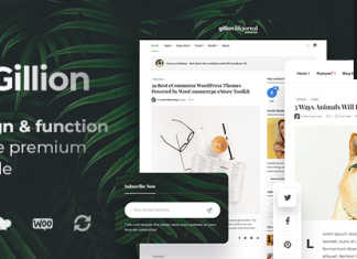 Gillion Theme WordPress AMP pour blogmagazine multi concept et boutique