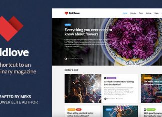 Gridlove Theme WordPress pour portail dactualites et magazine