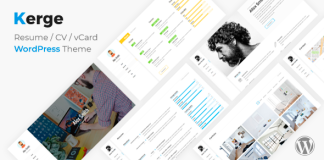 Kerge Theme de CV