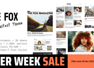 Le Renard Theme WordPress pour magazine journal et actualites