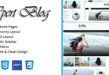 Modele de blog HTML responsive Xpert Blog