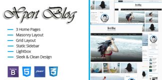 Modele de blog HTML responsive Xpert Blog