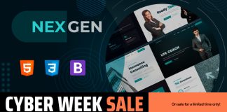 Nexgen Modele de consulting et dentreprise