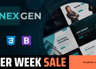 Nexgen Modele de consulting et dentreprise