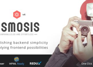 Osmosis Theme WordPress polyvalent reactif
