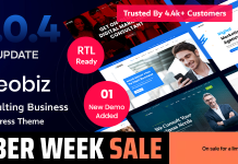 Reobiz Theme WordPress pour entreprise de conseil