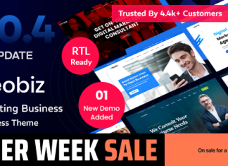 Reobiz Theme WordPress pour entreprise de conseil