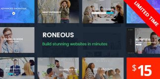Roneous Theme WordPress polyvalent et creatif