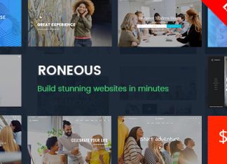 Roneous Theme WordPress polyvalent et creatif