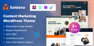 Saldana Theme WordPress pour les services de marketing de