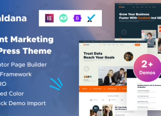 Saldana Theme WordPress pour les services de marketing de