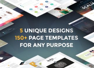 Scalia Theme Business Boutique One Page Blog a Concepts Multiples
