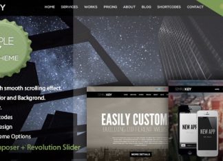 SimpleKey Theme Portfolio WordPress dune page