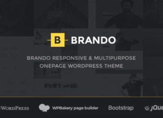 Theme WordPress Brando responsive et polyvalent en une page