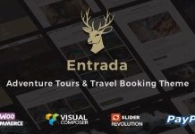 Theme WordPress Entrada Tour Travel Booking