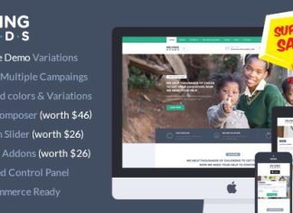 Theme WordPress de charite HelpingHands