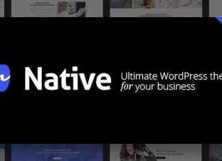 Theme natif elegant et polyvalent pour WordPress axe sur