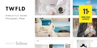 TwoFold Theme WordPress de photographie en plein ecran