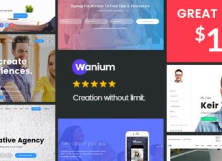 Wanium Un theme multi concept elegant