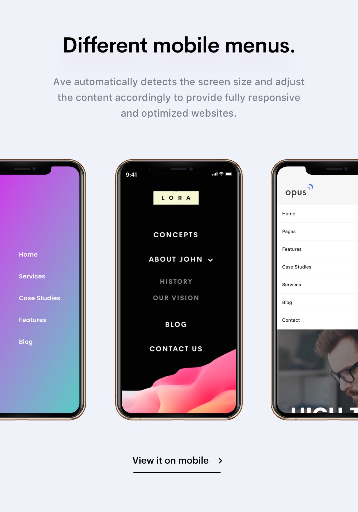 Ave - Responsive Multi-Purpose WordPress Theme - 21