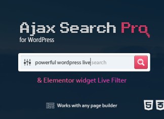 Ajax Search Pro Plugin de recherche en temps reel