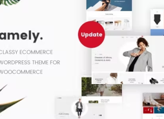 Amely Theme WordPress pour WooCommerce pour une boutique de