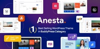 Anesta Theme WordPress pour Intranet Extranet Communaute et BuddyPress