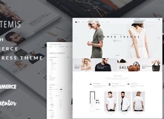 Artemis Theme WordPress WooCommerce polyvalent