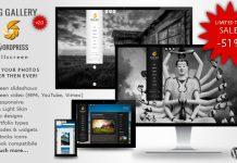 BIG Gallery WP – Photographie/Portfolio en plein écran BIG Gallery WP PhotographiePortfolio en plein ecran